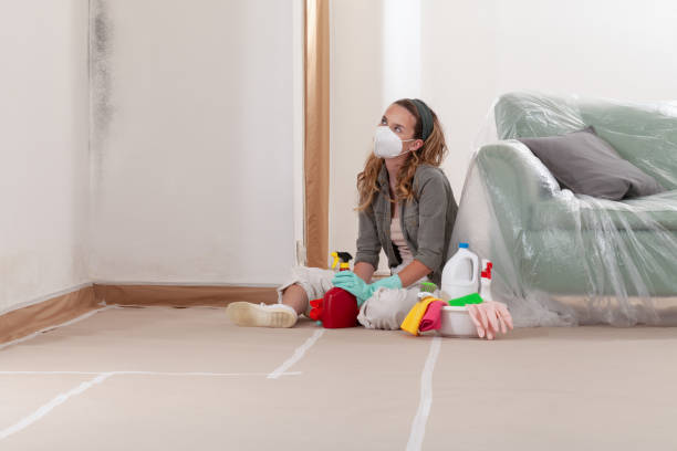 Reliable Mold Inspection contractor in Thomasville, GA by WQB Mold Removal