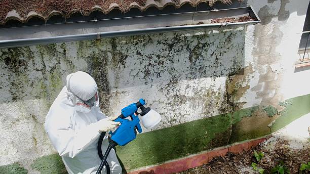Top rated local Mold Inspection specialists in Thomasville, GA